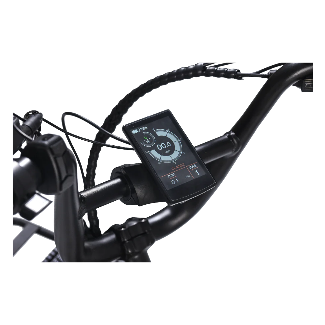 Revi Flux Electric Cargo Bike