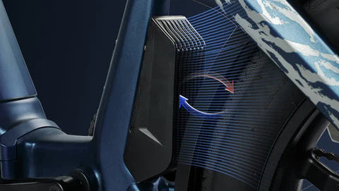 E Joe Grizzly Foldable Electric Bike