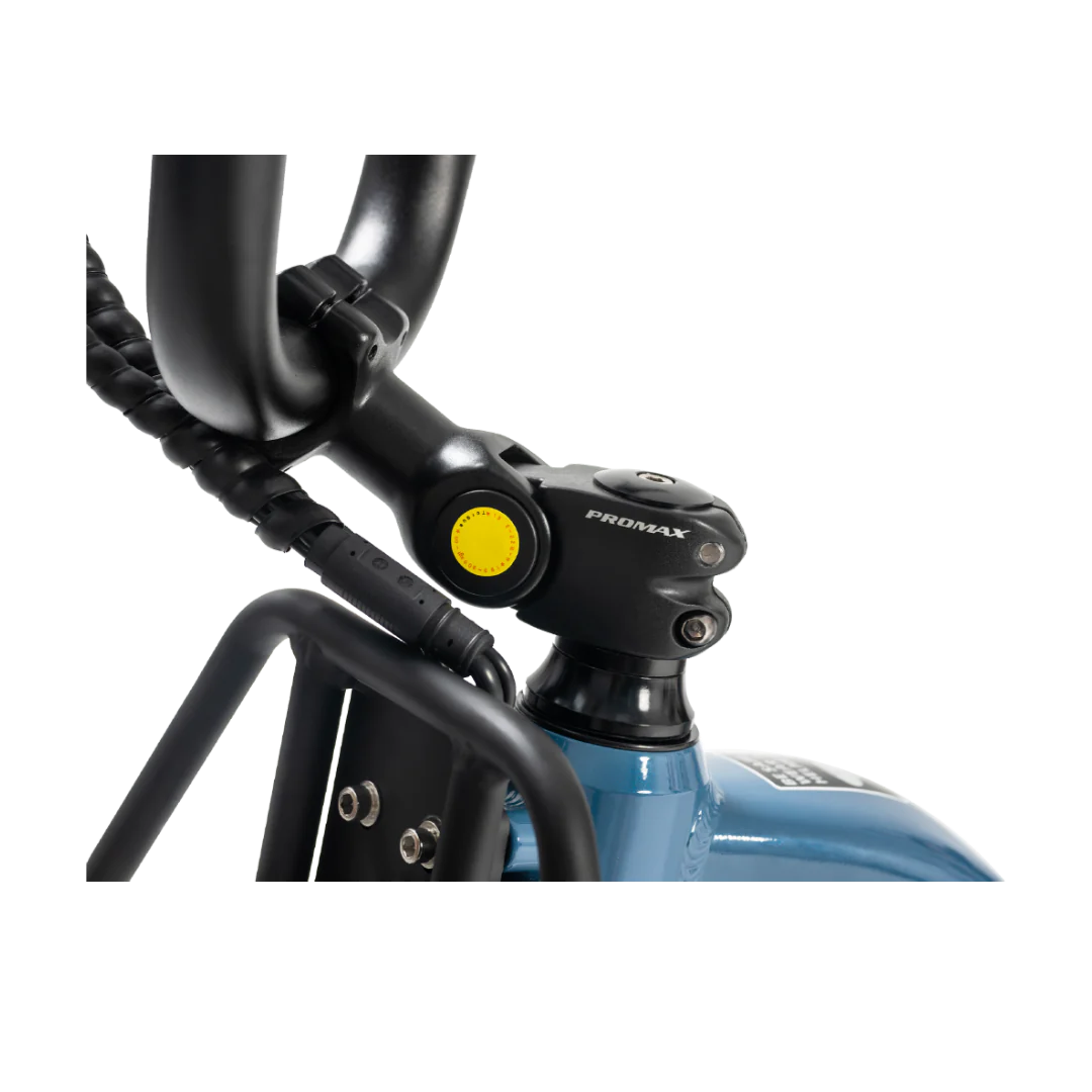 Revi Flux Electric Cargo Bike