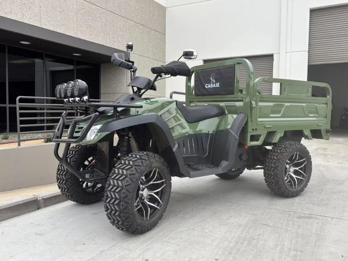 CABASE electric Cargo ATV green