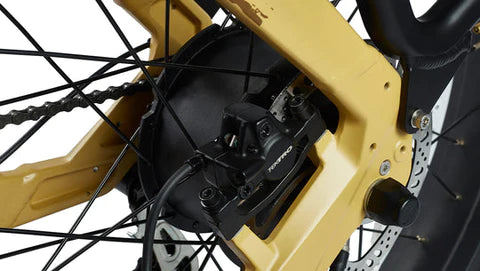 E Joe Lynx Step Thru Commuter Electric Bike