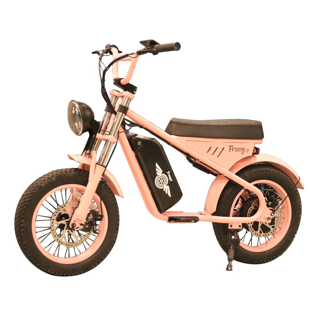 Freego Mini Electric Motorcycle for Child M1