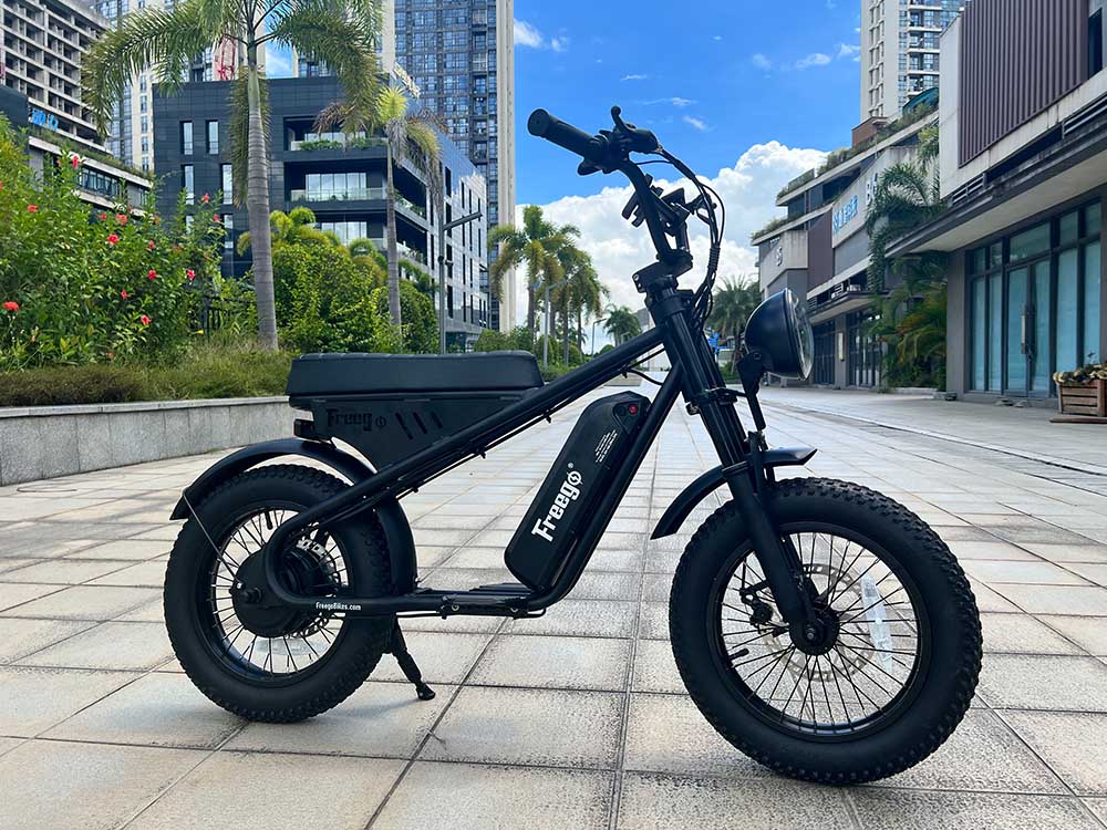 Freego Mini Electric Motorcycle for Child M1