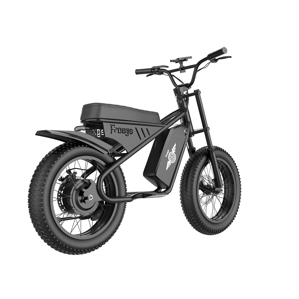 Freego Mini Electric Motorcycle for Child M1