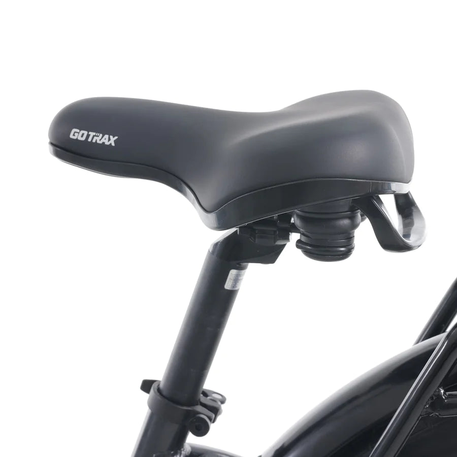 Gotrax CTI 2 Electric Bike