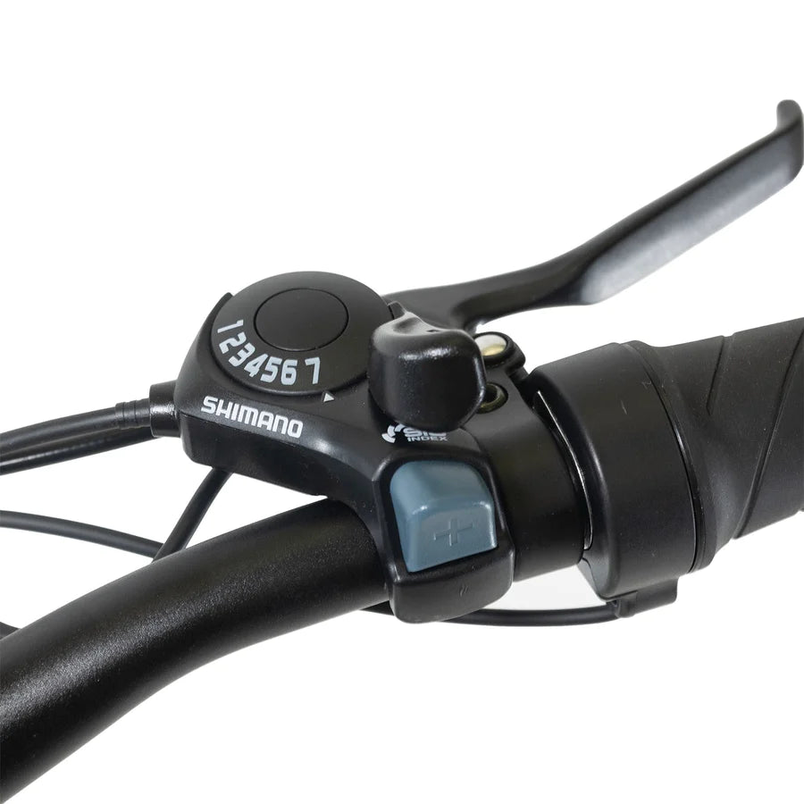 Gotrax F2 Electric Bike