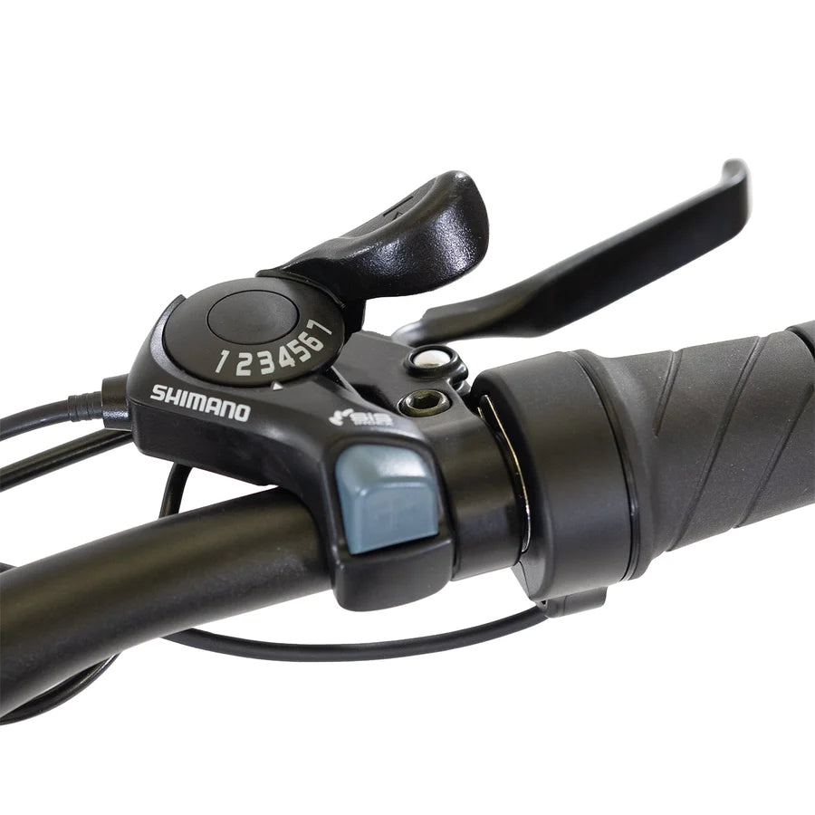 Gotrax F2 Electric Bike