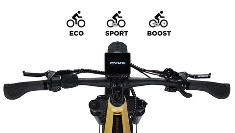 E Joe Lynx Step Thru Commuter Electric Bike