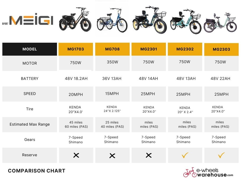 DWMEIGI MG708 350W 36V Electric Trike (Daywins)