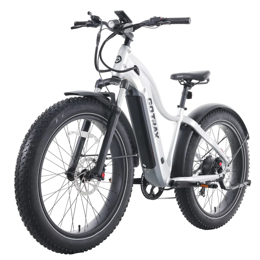Gotrax Tundra Electric Bike
