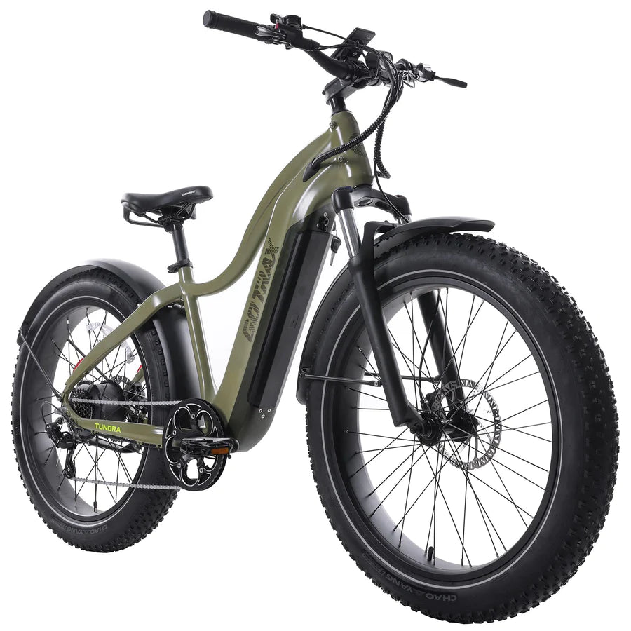 Gotrax Tundra Electric Bike