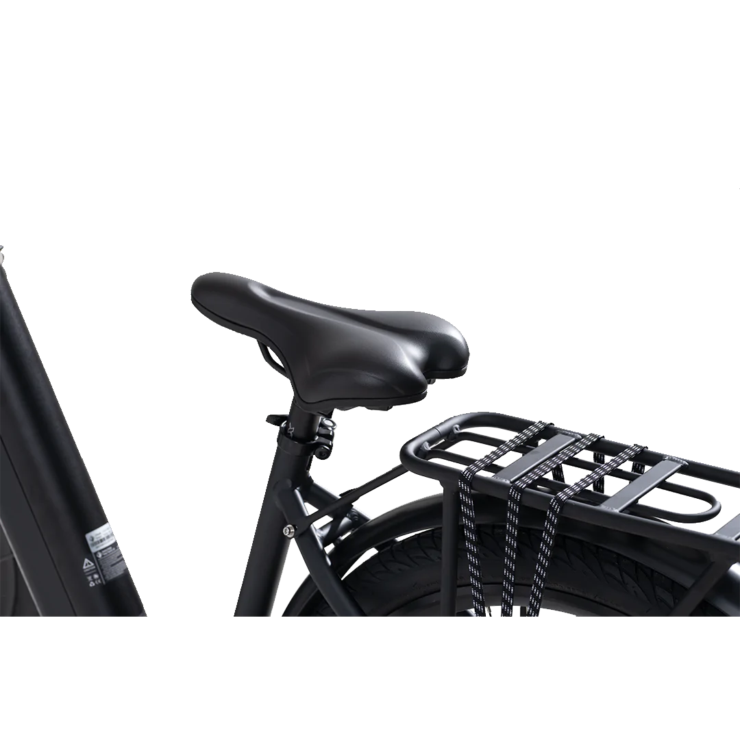 Revi Oasis 750W Step Thru Electric Bike
