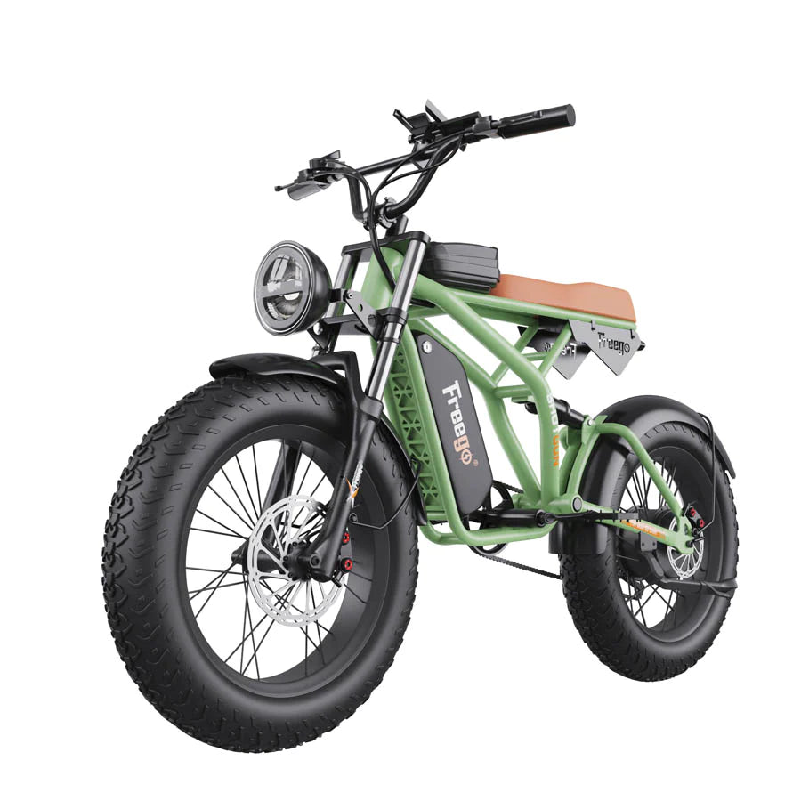 Freego F1 Pro 1400W Fat Tires Off Road Electric Bike