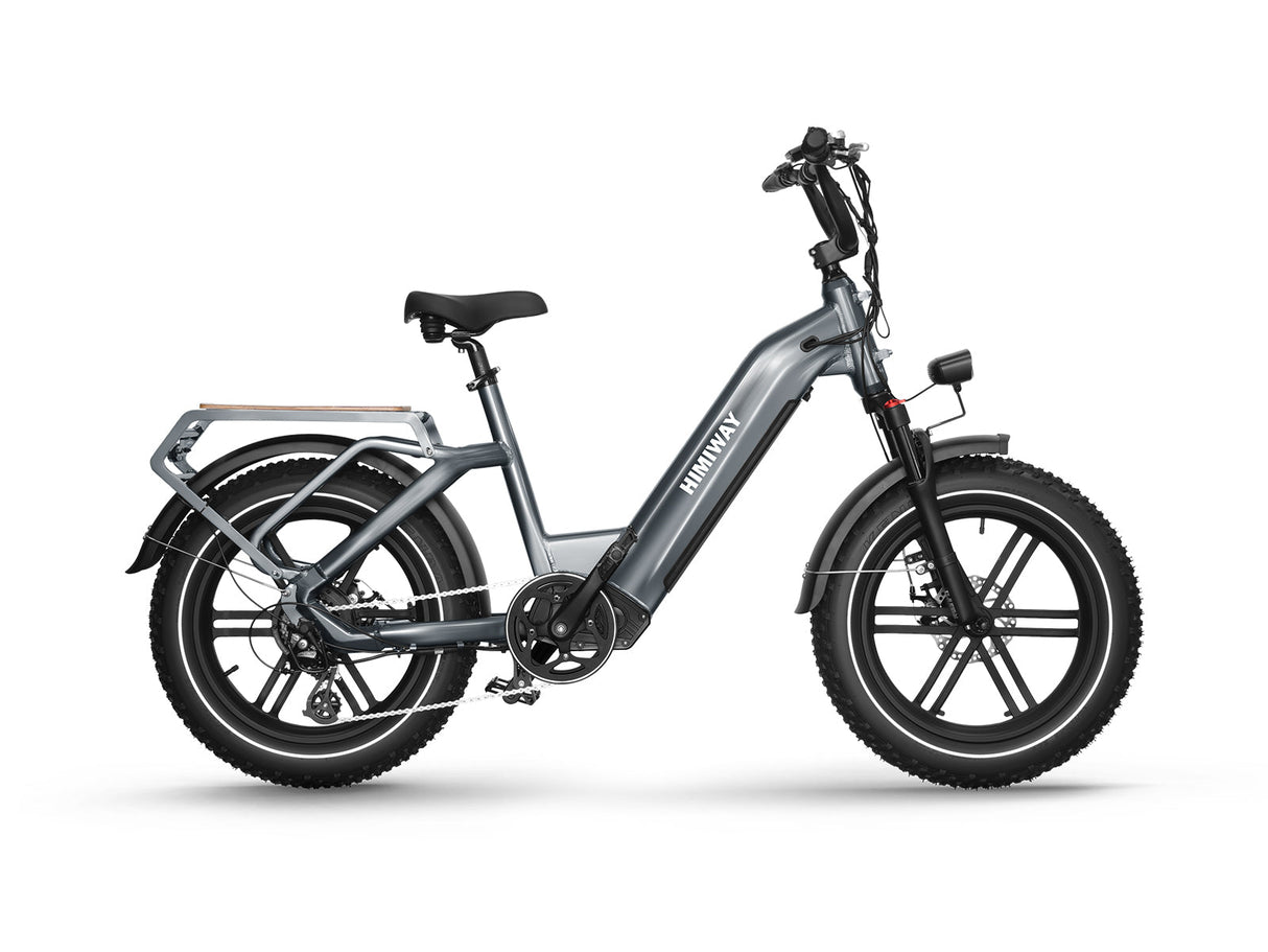 Himiway Big Dog 750W Electric Cargo Bike