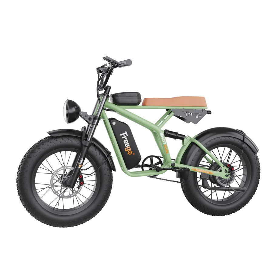 Freego F1 Pro 1400W Fat Tires Off Road Electric Bike