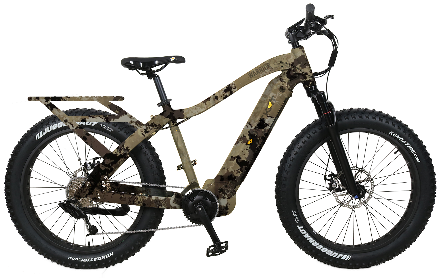 2020 fat hot sale tire electric bikes