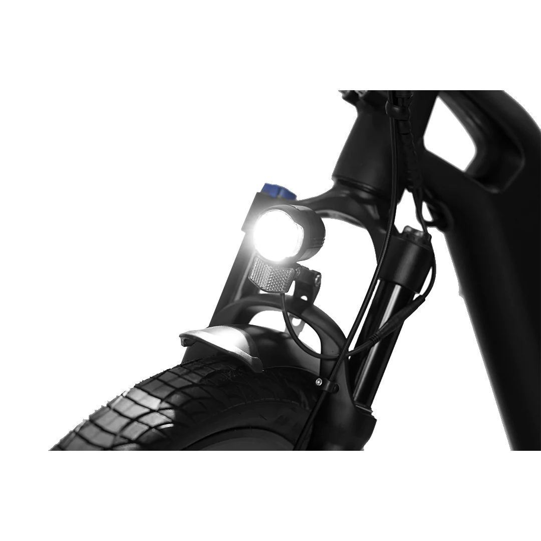 Revi Oasis 750W Step Thru Electric Bike