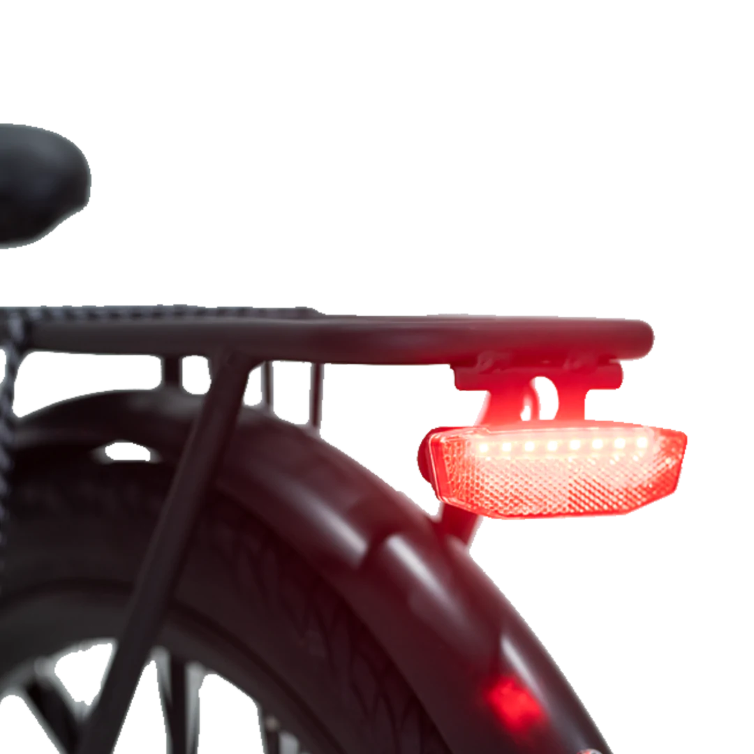 Revi Oasis 750W Step Thru Electric Bike