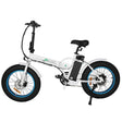 Ecotric 36v  Fat Tire Portable and Folding Electric Bike - E-Wheel Warehouse