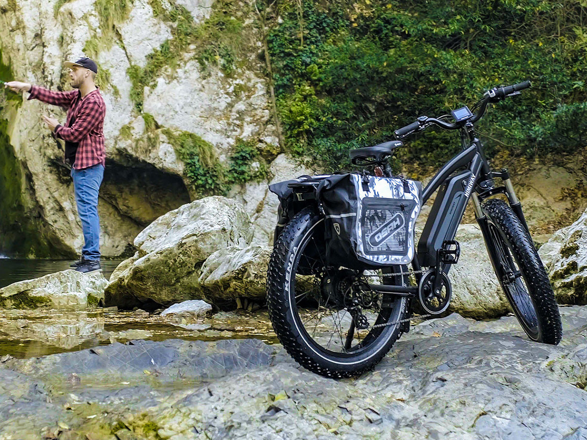 Himiway The Cruiser Fat Tire Electric Bike