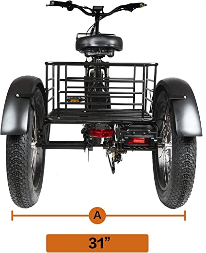 DWMEIGI Zeus MG1703 750W Electric Fat Tire Trike