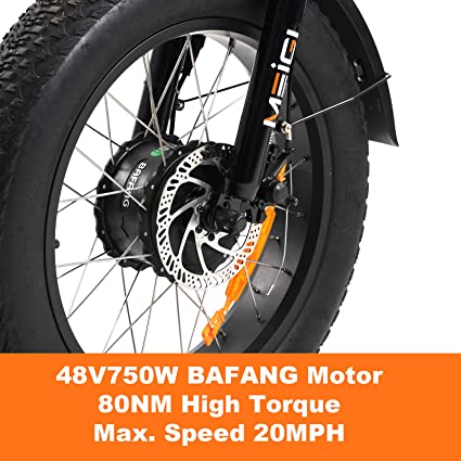 DWMEIGI Zeus MG1703 750W Electric Fat Tire Trike