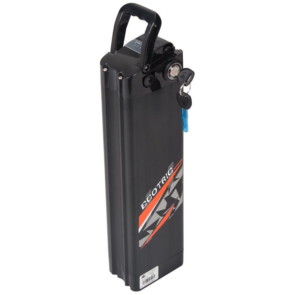 48V Fat Tire Best Folding Electric Bike with color LCD display 2020