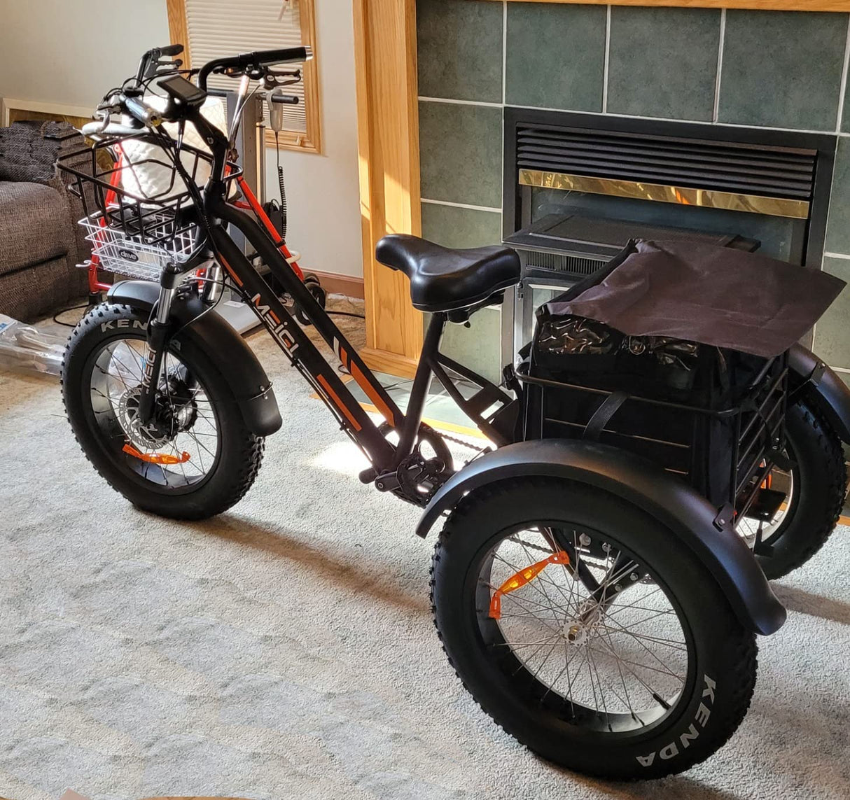 DWMEIGI Zeus MG1703 750W Electric Fat Tire Trike