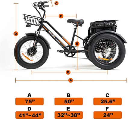 DWMEIGI Zeus MG1703 750W Electric Fat Tire Trike