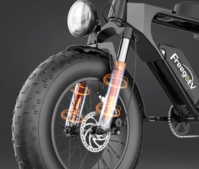 Freego DK200 Off Road Mountain Electric Bike 20'' Fat tires 1200W Powerful Motor 20Ah Lithium Battery