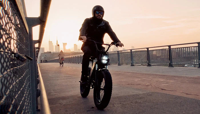 Freego DK200 Off Road Mountain Electric Bike 20'' Fat tires 1200W Powerful Motor 20Ah Lithium Battery