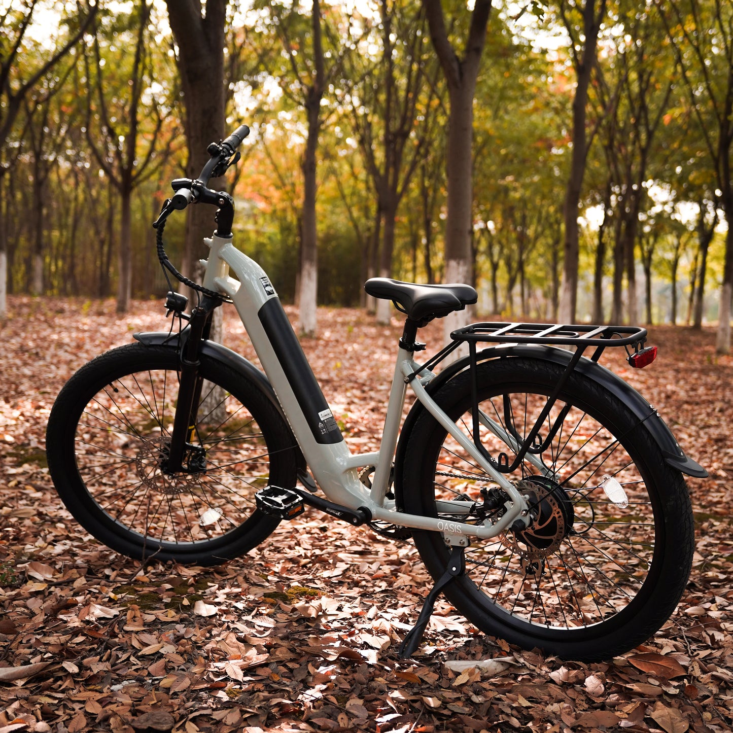 Revi Oasis 750W Step Thru Electric Bike