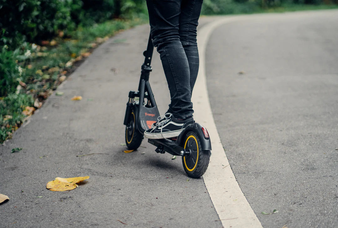 Freego E10 Pro 500W Powerful Electric Riding Scooter for City Commute