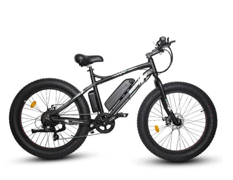 Ecotric Fat Tire Beach Snow Electric Bike - E-Wheel Warehouse