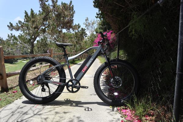 Revi Predator 500W Electric Mountain Bike - E-Wheel Warehouse