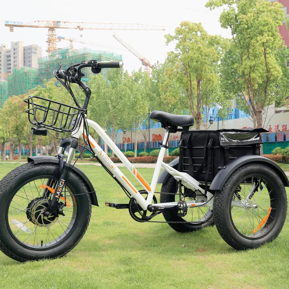 DWMEIGI Zeus MG1703 750W Electric Fat Tire Trike
