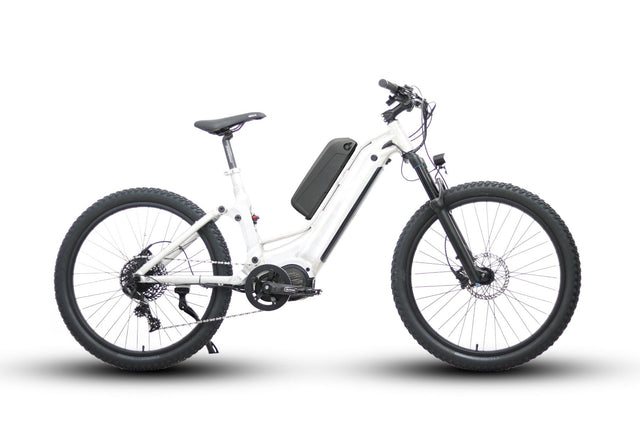 Eunorau 48V 1000W Specter-ST Dual Battery Design Step-Thru Electric Bike - E-Wheel Warehouse