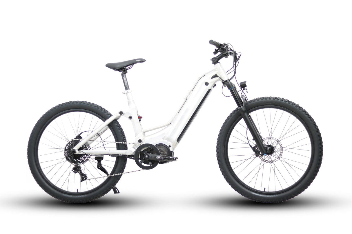 Eunorau 48V 1000W Specter-ST Dual Battery Design Step-Thru Electric Bike - E-Wheel Warehouse