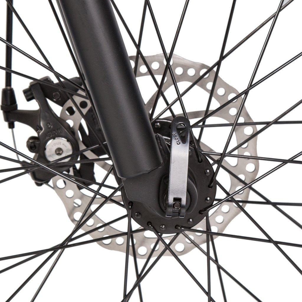 Ecotric Portable And Folding Fat Tair Bike Model Dolphin Black, Blue