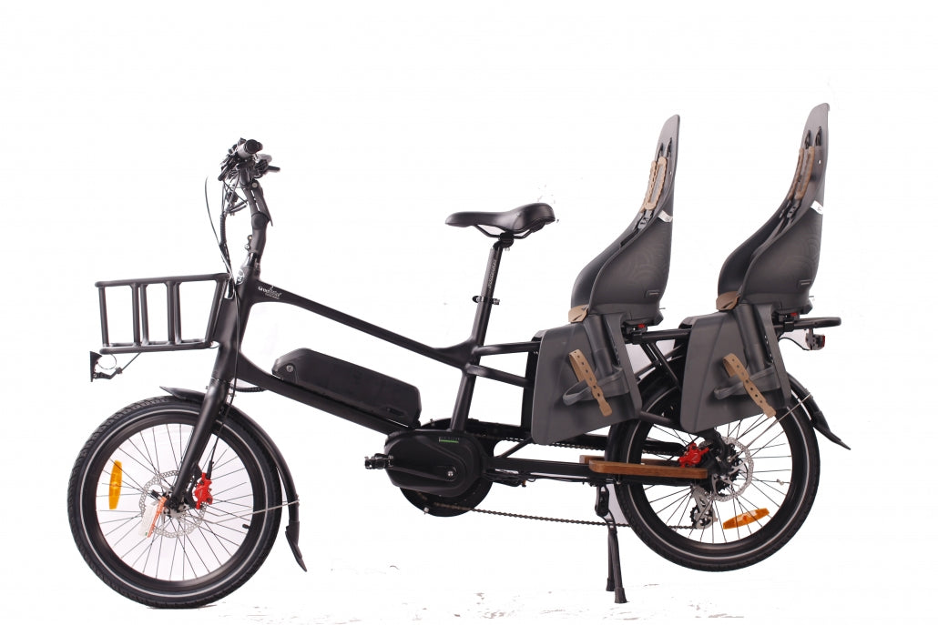 Green Bike Electric Motion Cargo Bike Two Seater Mid Drive 48v 500w Bike - E-Wheel Warehouse