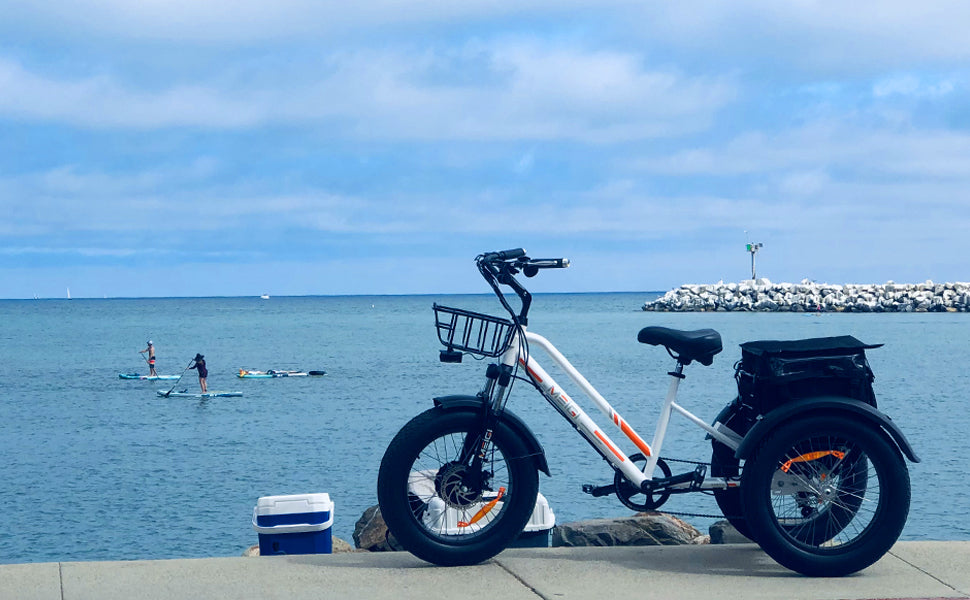 DWMEIGI Zeus MG1703 750W Electric Fat Tire Trike