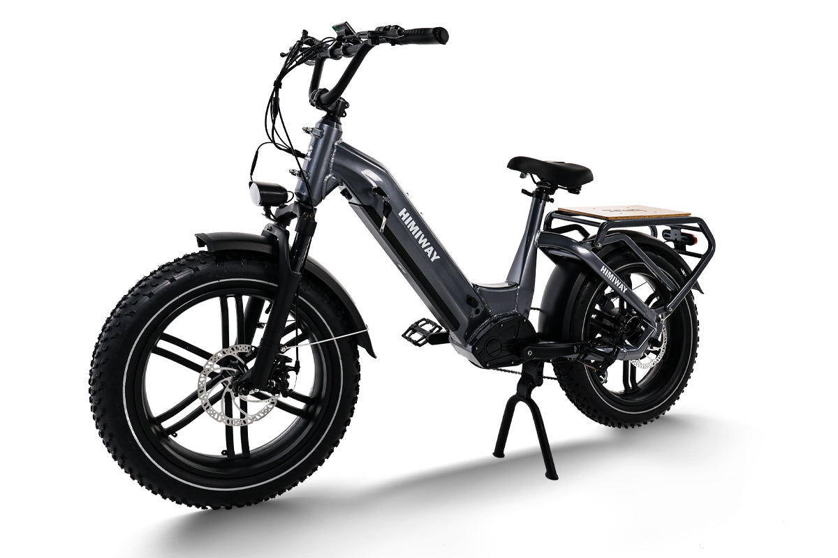 Himiway Big Dog 750W Electric Cargo Bike