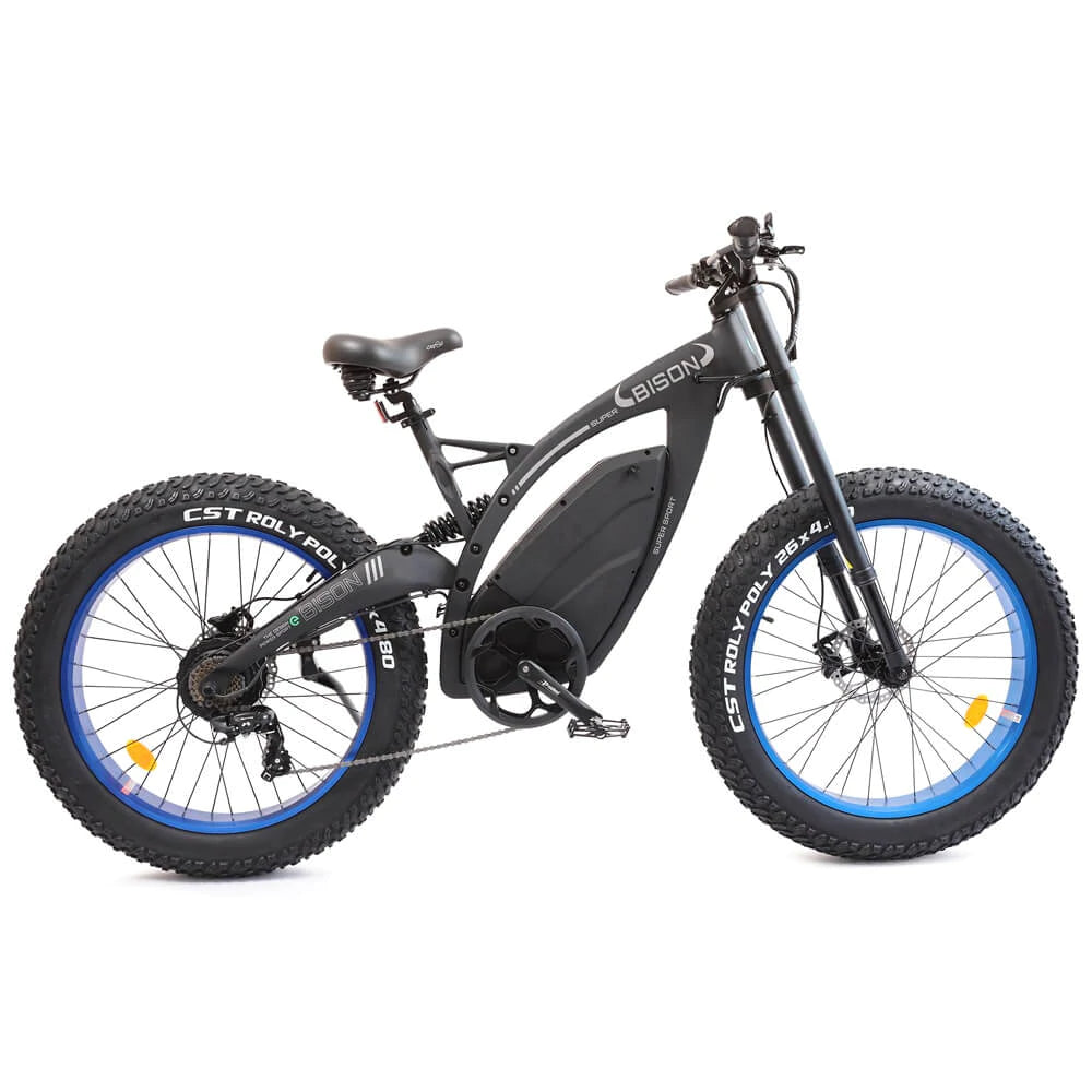 Ecotric 48v hotsell fat tire