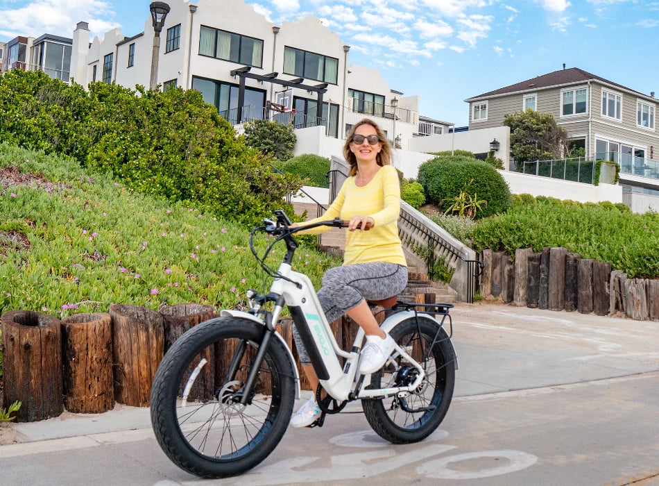 Emojo Breeze Pro Fat-Tire 750-watt
