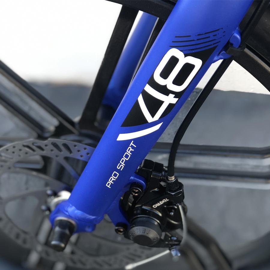 Lynx Pro 48 V Folding Best Electric Mountain Sport E Bikes Online