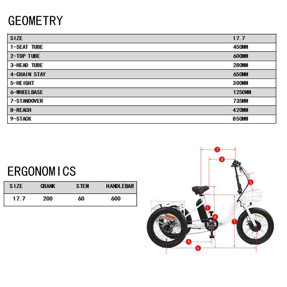 Eunorau New-Trike 48V500W 20'' Step-Through Tricycle - E-Wheel Warehouse