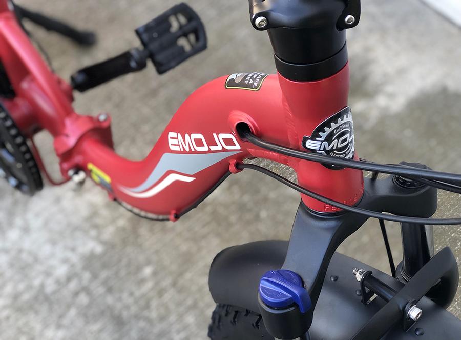 RAM SS 48 V Folding Best Electric Mountain E Bikes Online