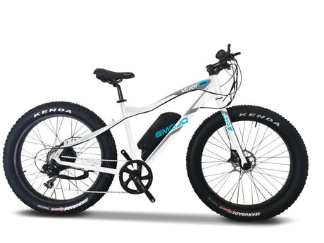 Emojo Wildcat 48 V Fat Tair Best Electric Mountain E Bikes