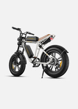 ENGWE X20 Triple Suspension Foldable E-bike