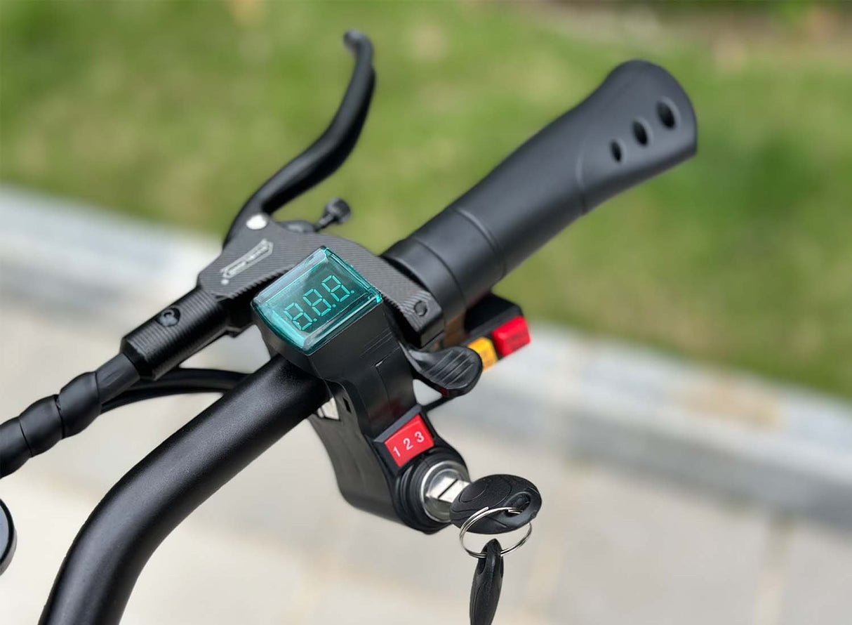 Freego Landtiger Electric Scooter Foldable Dual Motor 4000W